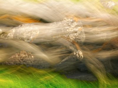 Abstract representation of dynamic female movement